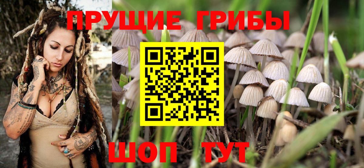 Отрадный  Галлюциногенные грибы Magic Shrooms  Вход с VPN  Псилоцибиновые грибы MAGIC MUSHROOMS 