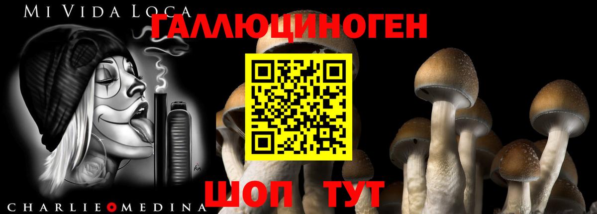 Галлюциногенные грибы мухоморы Отрадный